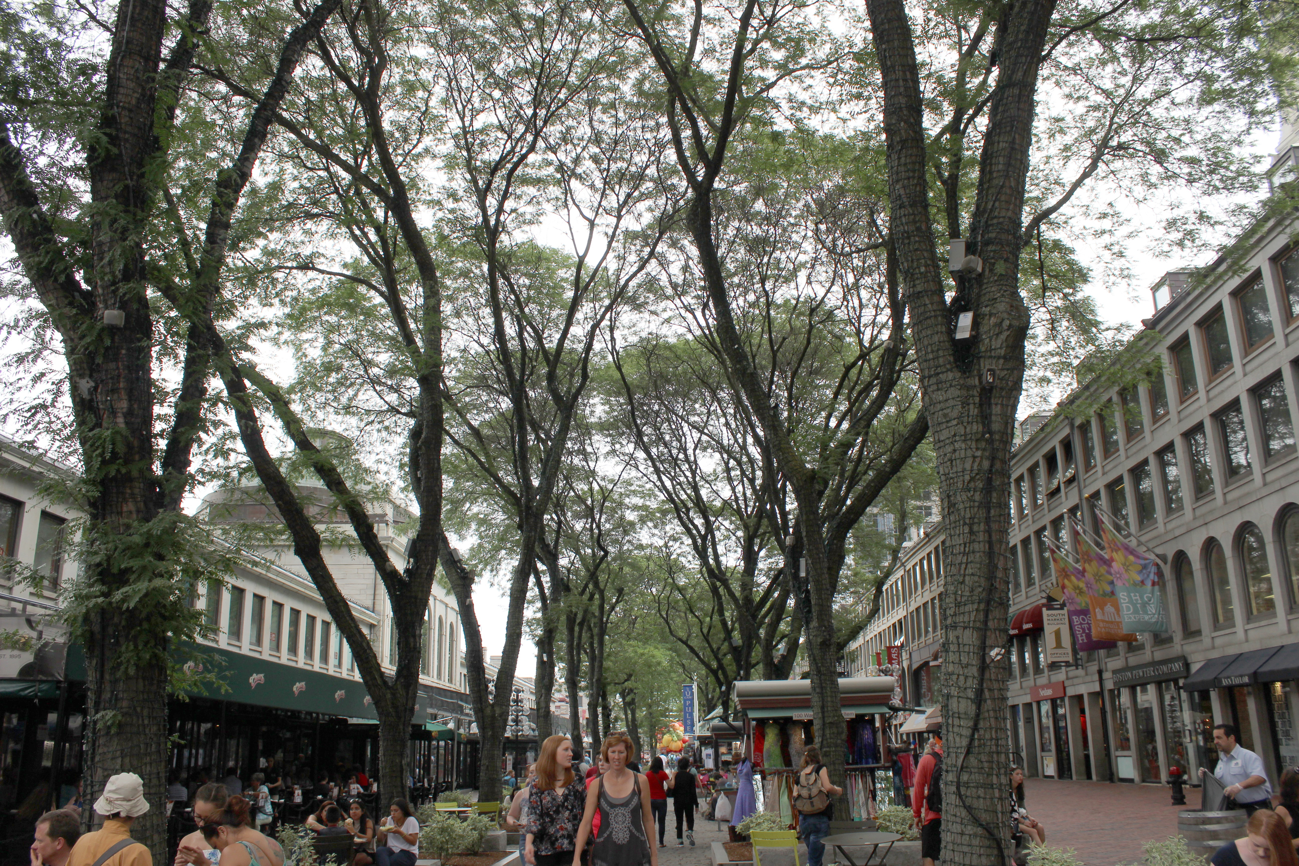 Tourists enjoying a summer day at the marketplace. PHOTO CREDIT: BAYLEE WRIGHT