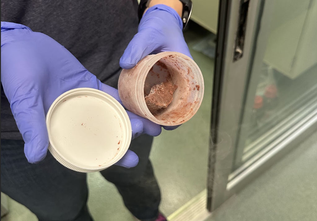 What’s The Scoop With Whale Poop?
